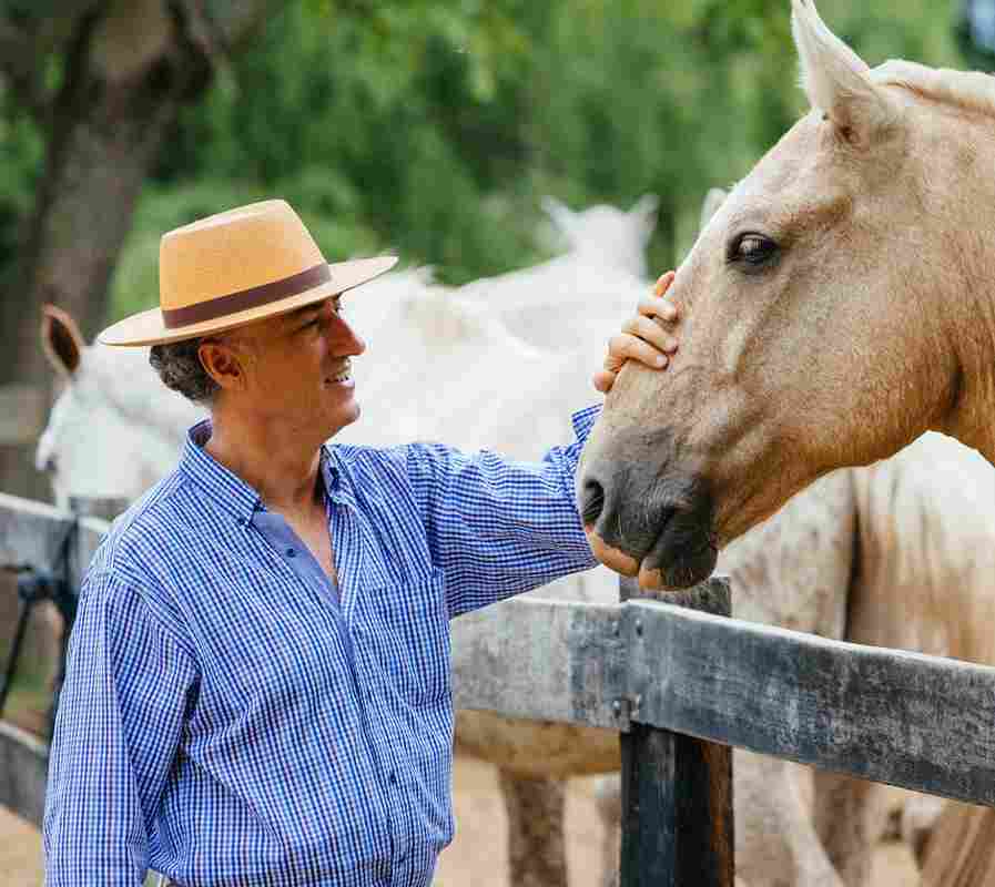 Argentine Cowboy Experience: A Deep Dive into the Gaucho Tradition ...