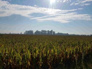 Agricultural Tour in the Pampas Argentina