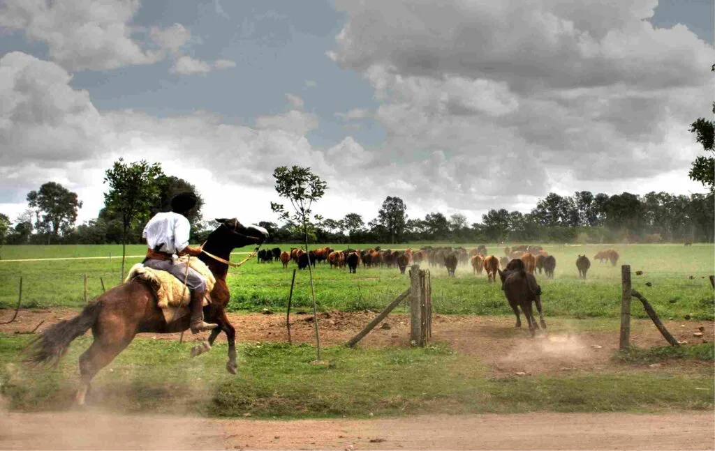 Estancia day camino pampa 2