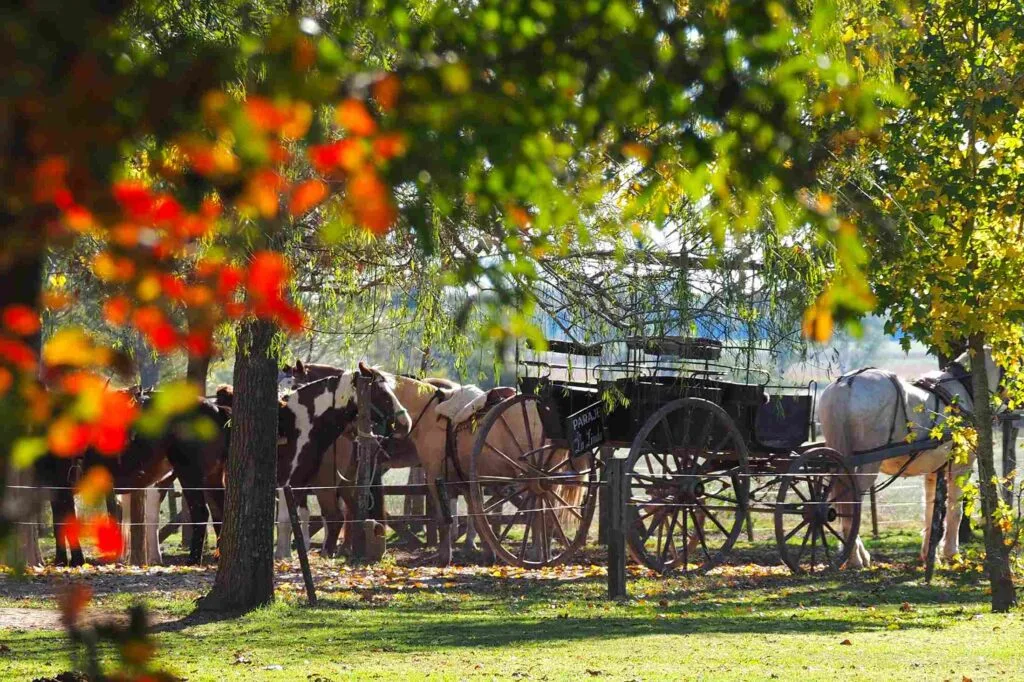 san-antonio-de-areco
