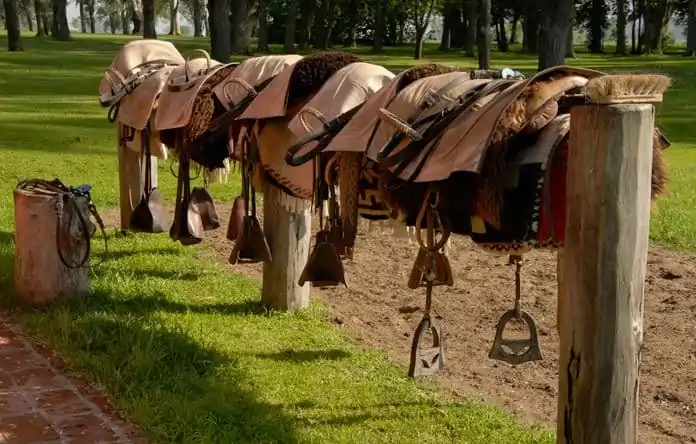 What to Expect from a Gaucho Tour in Buenos Aires