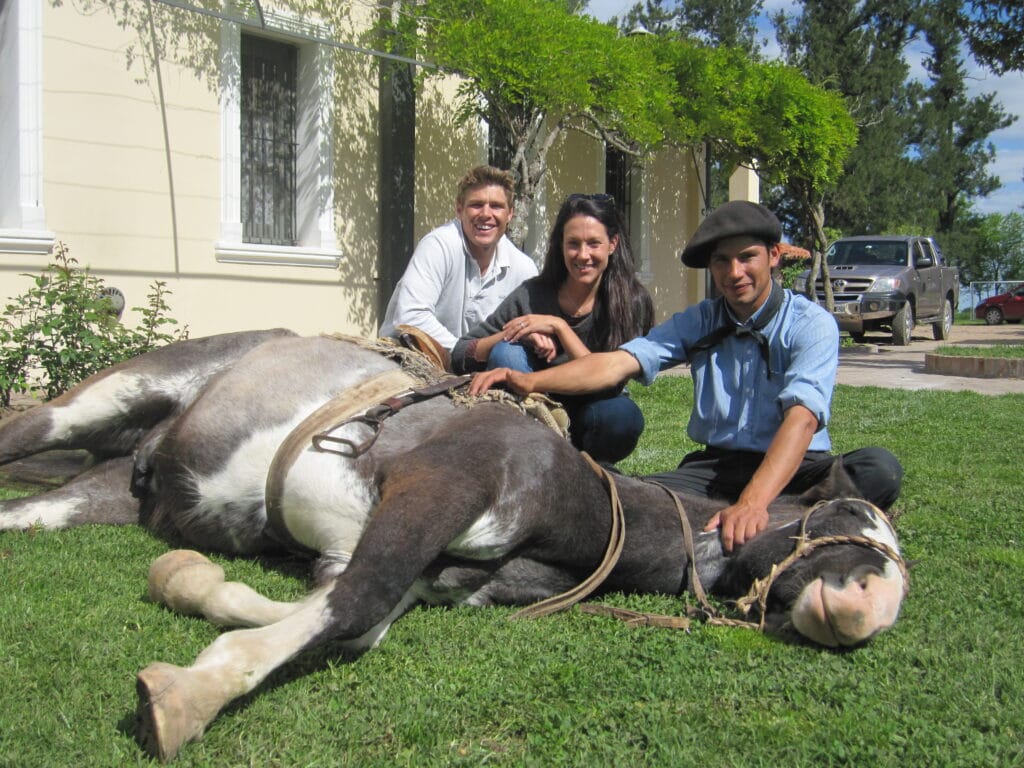 Natural Horsemanship 