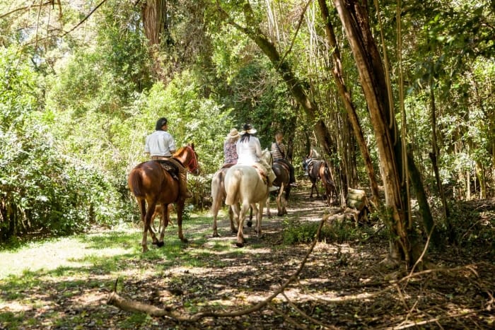 Best Time to Have a Gaucho Experience