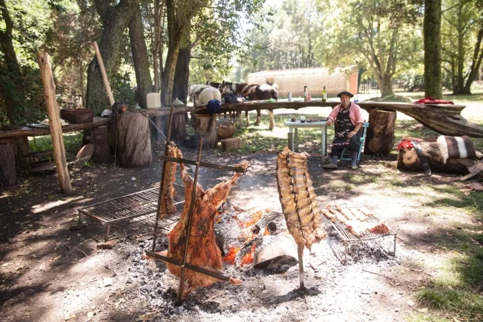 traditional argentine asado in a gaucho food experience