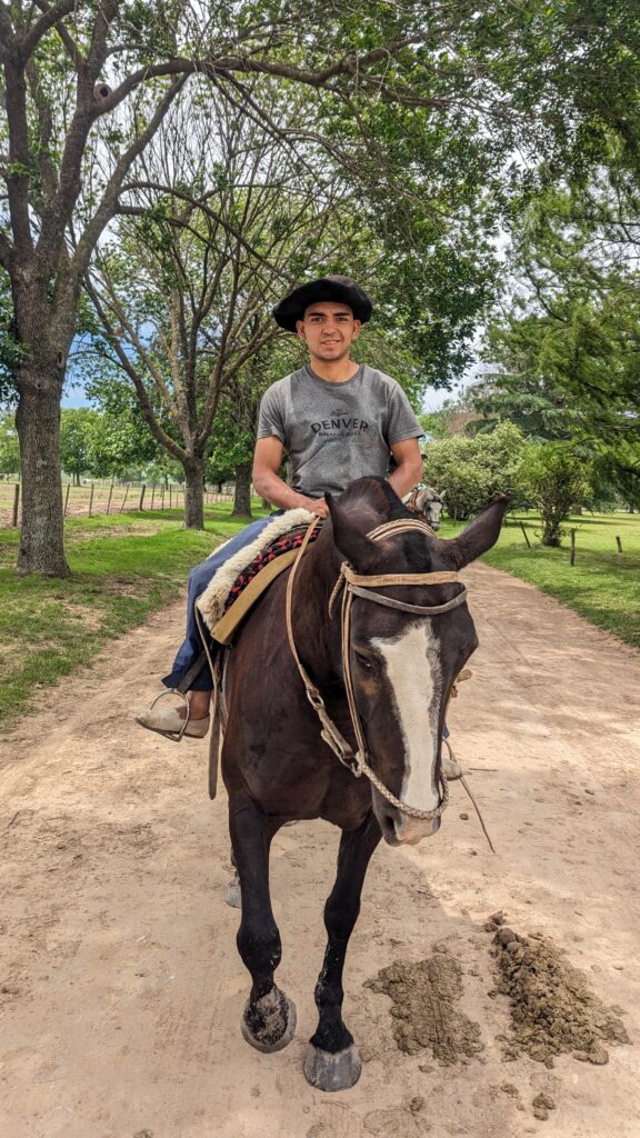 Natural Horsemanship in Argentina