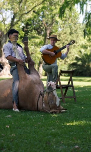 Best cultural tours in Argentina for first-time visitors
