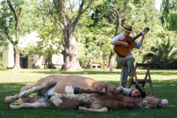 Doma India Natural Horsemanship