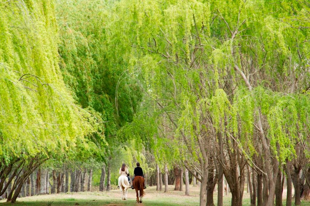 Estancia-La-Bamba-de-Areco-horseback-riding-in-the-Pampa