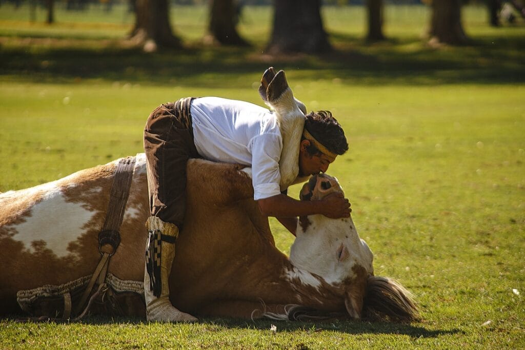 horsewhisperer in Estancia La Bamba de Areco